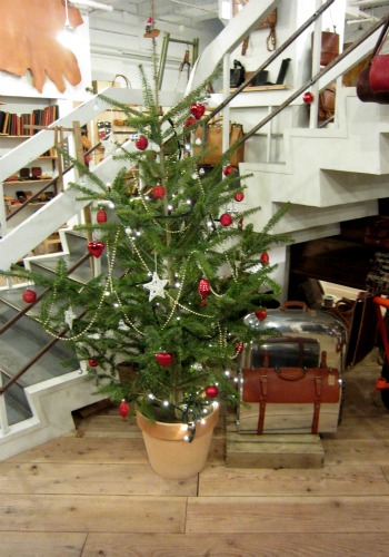 IMG0733.jpg
