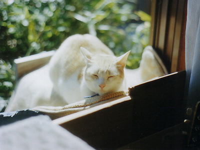 https://www.heragcojp.sbs/blog/oldblog/pictures/Scan10001.jpg