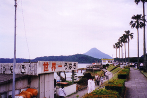 https://www.heragcojp.sbs/blog/oldblog/pictures/gw_09_unagi.jpg