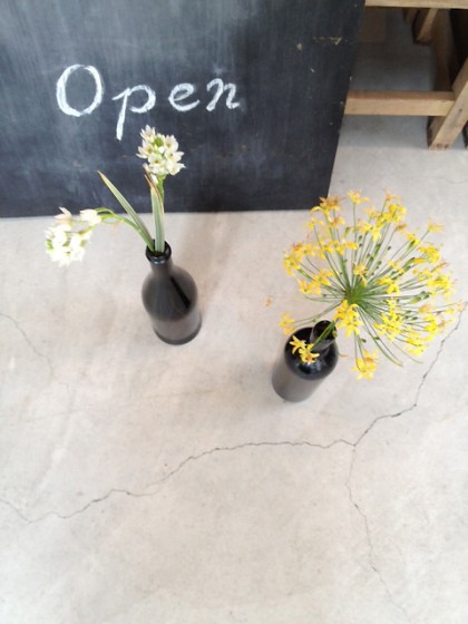 今日のお花