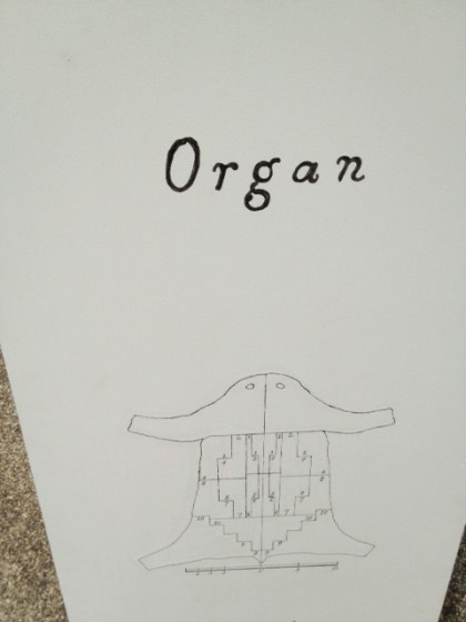 Organ