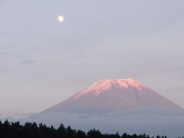 富士山の麓