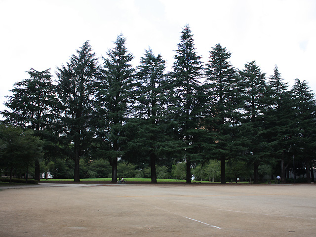 錦町公園 2