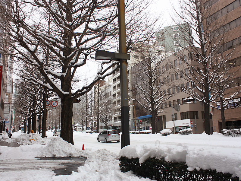 雪の仙台
