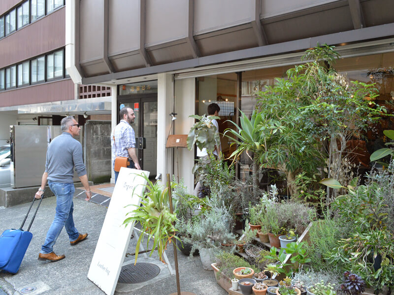 Organ来店